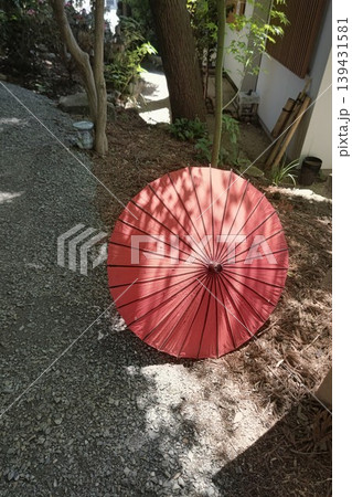 日光に照らされた赤い唐傘 139431581