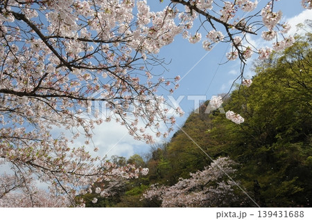春の風景 春の風景 139431688