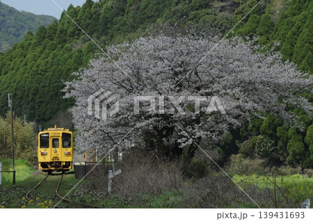 春の風景 春の風景 139431693
