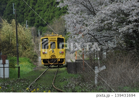 春の風景 春の風景 139431694