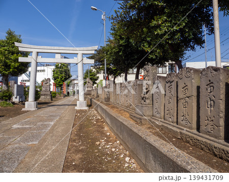 参道に並ぶ百庚申と鳥居 神社空間に広がる石塔群 鎌ヶ谷八幡神社 参道に並ぶ百庚申と鳥居 神社空間に広がる石塔群 鎌ヶ谷八幡神社 139431709