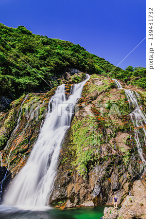 屋久島の森に響く大川の滝の水しぶき 139431732