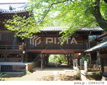 守龍山東福寺 本堂の渡り廊下 守龍山東福寺 本堂の渡り廊下 139431776