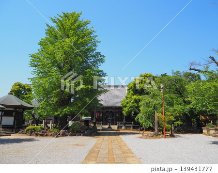 守龍山東福寺 本堂 守龍山東福寺 本堂 139431777