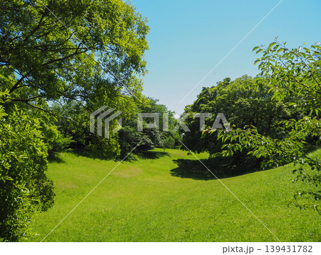 新緑の佐倉城址公園 新緑の佐倉城址公園 139431782