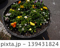 大きなプランターに様々な花を植えた寄せ植え 139431824