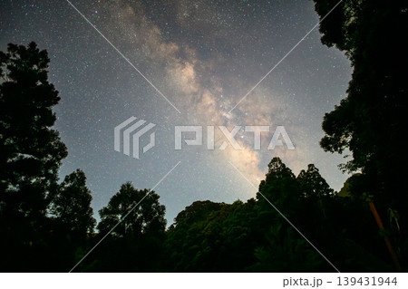 杉山と天の川星景　洋上アルプス屋久島(夏 139431944