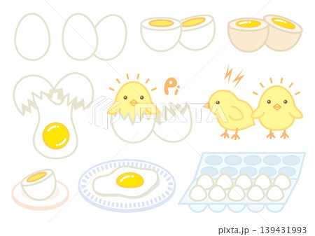 かわいい色々な卵とひよこのイラストセット 139431993