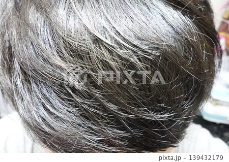 Close-up of Gray and Dark Hair Texture Close-up of Gray and Dark Hair Texture 139432179