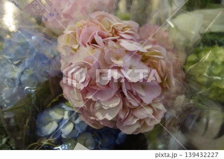 Pink and Blue Hydrangea Bouquet Close-up 139432227