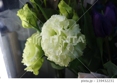 Eustoma Flowers in Soft Green and White 139432231