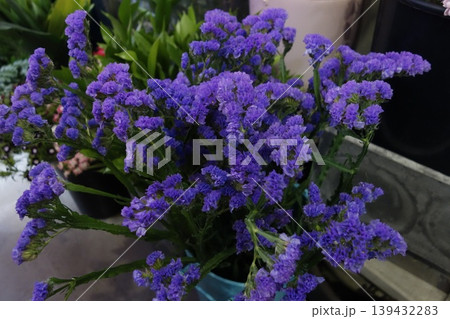 Vibrant Purple Flower Bouquet in Floral Arrangement 139432283