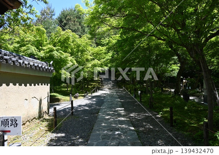 高台寺の園内の緑のきれいな園内の散策路 高台寺の園内の緑のきれいな園内の散策路 139432470