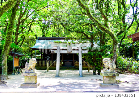 【福岡】初夏の福岡 筥崎宮の西末社 【福岡】初夏の福岡 筥崎宮の西末社 139432551