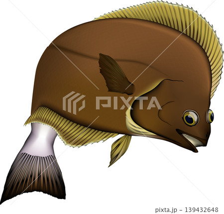 魚イラスト　カレイ「ソウハチ」　ベクター形式　白背景(pngは背景透過)・単体 139432648