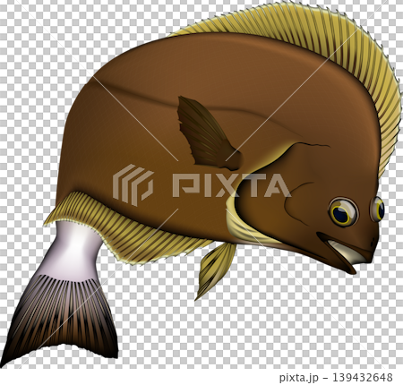 魚イラスト　カレイ「ソウハチ」　ベクター形式　白背景(pngは背景透過)・単体 139432648
