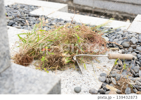 お墓の除草後, 抜いた雑草の山 139432873