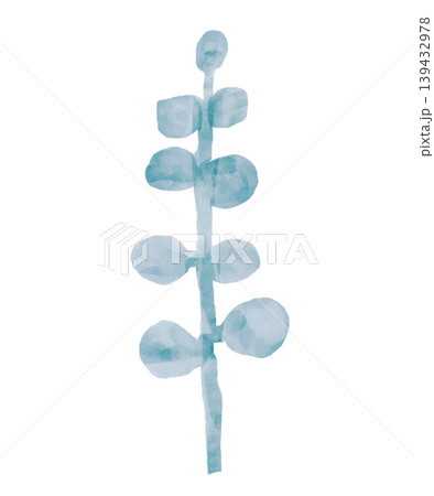 野の花コレクション 139432978