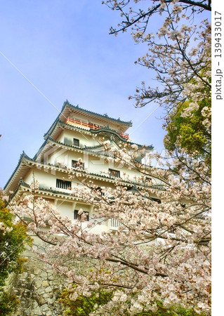 唐津城・桜と天守（佐賀県・唐津市） 139433017