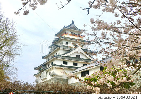 唐津城・桜と天守（佐賀県・唐津市） 139433021