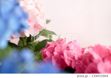 紫陽花の背景素材 初夏のイメージ 紫陽花の背景素材 初夏のイメージ 139433064