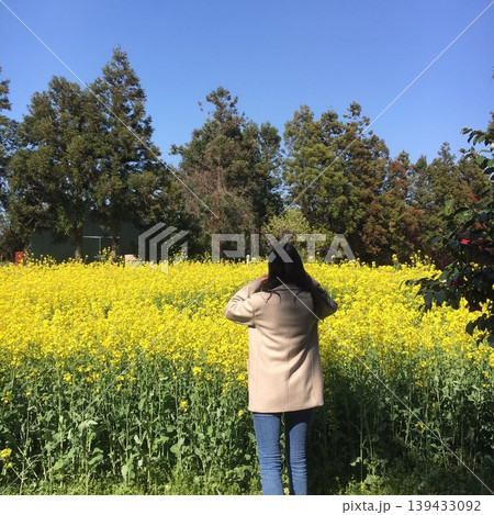 Woman in Yellow Flower Field with Trees Woman in Yellow Flower Field with Trees 139433092