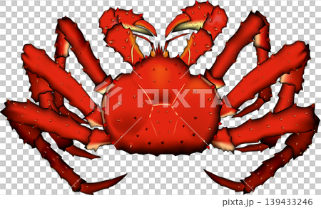 「タラバガニ」 イラスト ベクター形式 白背景(pngは背景透過)・単体 「タラバガニ」 イラスト ベクター形式 白背景(pngは背景透過)・単体 139433246