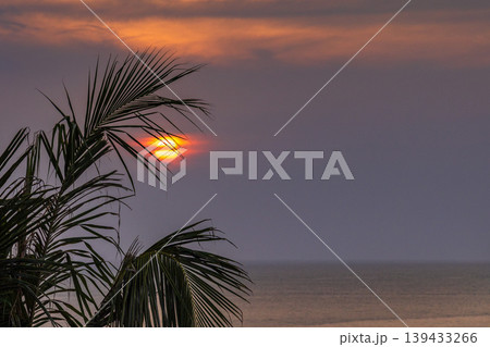 Vibrant Tropical Sunset: Palm Fronds Silhouette Against a Fiery Sky Over Calm Ocean Water. The coast of the port city of Galle on the south-west coast of Sri Lanka. Vibrant Tropical Sunset: Palm Fronds Silhouette Against a Fiery Sky Over Calm Ocean Water. The coast of the port city of Galle on the south-west coast of Sri Lanka. 139433266