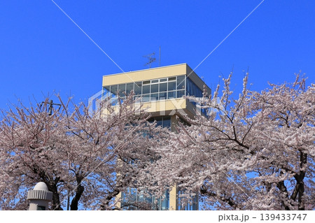 グレットタワーみなと 展望台|館鼻公園の満開の桜と春の風景 青森県八戸市 グレットタワーみなと 展望台|館鼻公園の満開の桜と春の風景 青森県八戸市 139433747
