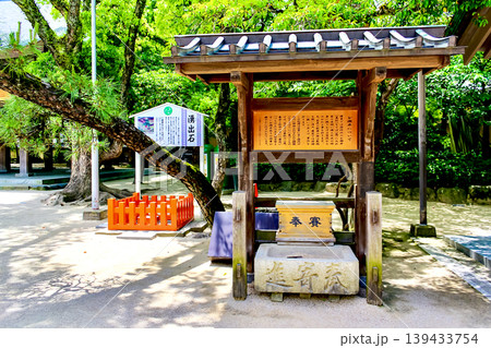 【福岡】初夏の福岡　 筥崎宮の境内の湧出石 139433754