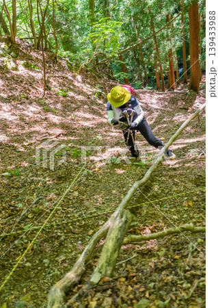 桧塚奥峰を目指して急斜面を登る女性登山者※作品コメント欄に撮影位置 桧塚奥峰を目指して急斜面を登る女性登山者※作品コメント欄に撮影位置 139433988