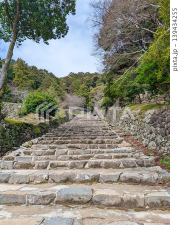 滋賀県近江八幡市の安土城跡 大手道 滋賀県近江八幡市の安土城跡 大手道 139434255