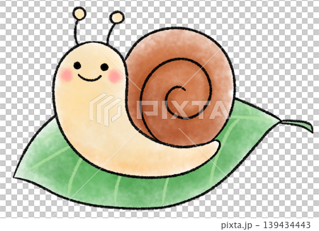 葉っぱに乗ったカタツムリの可愛い水彩風イラスト 葉っぱに乗ったカタツムリの可愛い水彩風イラスト 139434443