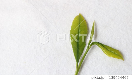 新鮮なお茶の葉 139434465