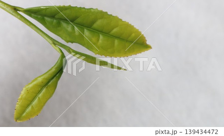 新鮮なお茶の葉 139434472