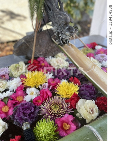 姫嶋神社花手水 姫嶋神社花手水 139434538