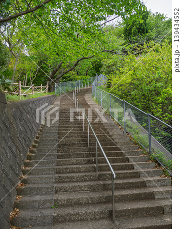 新緑に包まれた登山道の石段 新緑に包まれた登山道の石段 139434552