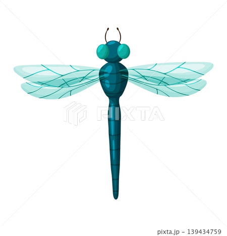 Teal Blue Dragonfly Top View Illustration Clipart 139434759
