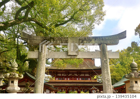 太宰府天満宮・鳥居と楼門（福岡県・太宰府市） 139435104
