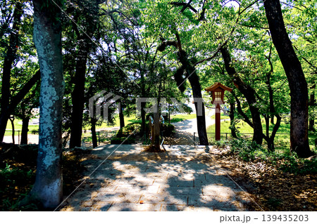 【福岡】初夏の福岡城跡　大濠池へ続く景色 139435203