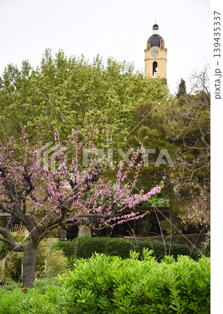 Spring blossoms in a Mediterranean town park with clock tower and historic buildings, travel and Easter vibes Spring blossoms in a Mediterranean town park with clock tower and historic buildings, travel and Easter vibes 139435337