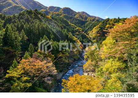 紅葉に染まる道志渓谷 139435595