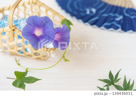 竹かごの朝顔(生花)と青もみじと扇子 139436031