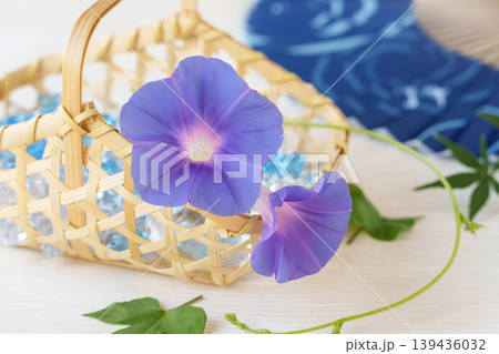 竹かごの朝顔(生花)と青もみじと扇子 139436032