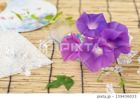 すだれの上の朝顔(生花)とうちわの涼しげな背景 139436033