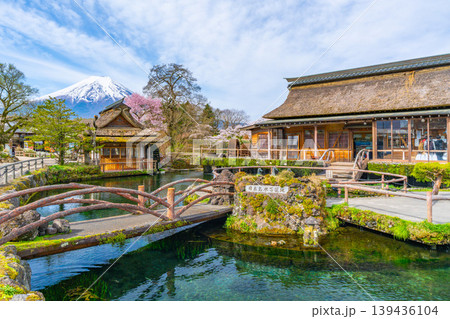 忍野 桜 富士山 忍野 桜 富士山 139436104
