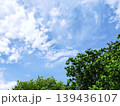 青空と白い雲と緑の木々 139436107