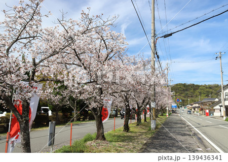 生石宝殿停車場線 高砂市総合運動公園(兵庫県高砂市) 生石宝殿停車場線 高砂市総合運動公園(兵庫県高砂市) 139436341