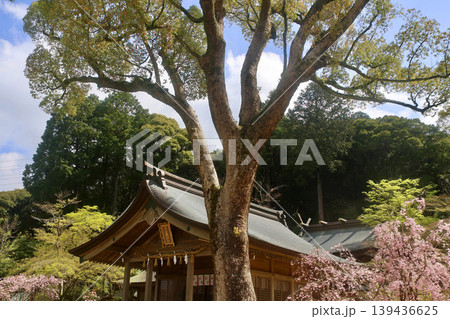 竈門神社・拝殿（福岡県・太宰府市） 139436625