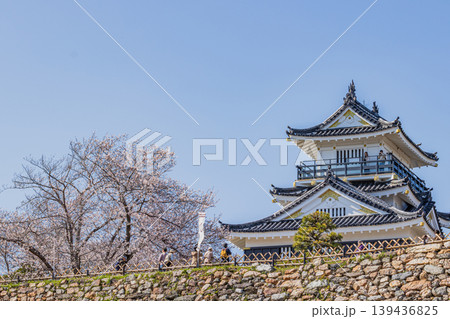 浜松市の浜松城と桜の風景(静岡県) 139436825